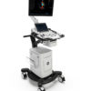 GE VIVID T9