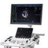 GE VIVID T8