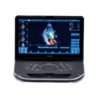 GE VIVID iq
