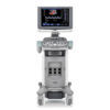 Siemens ACUSON X300 Premium Edition